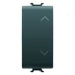GW12121 | مفتاح وسط اسود
